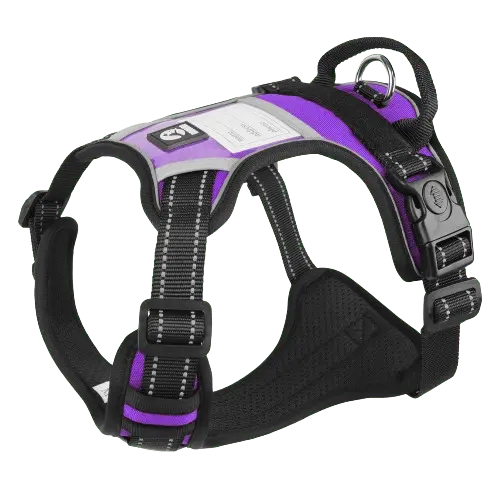 Purple dog harness with a stylish design and a secure double-buckle closure.