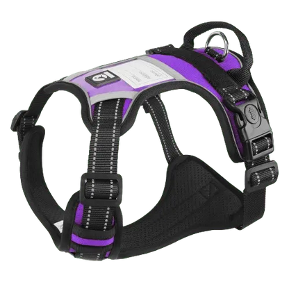 Purple dog harness with a stylish design and a secure double-buckle closure.