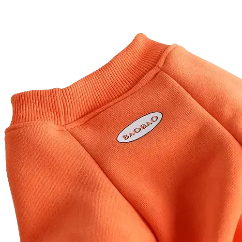 Ultimate comfort winter clothes for dogs, featuring padded and thickened materials. Buy for Dog