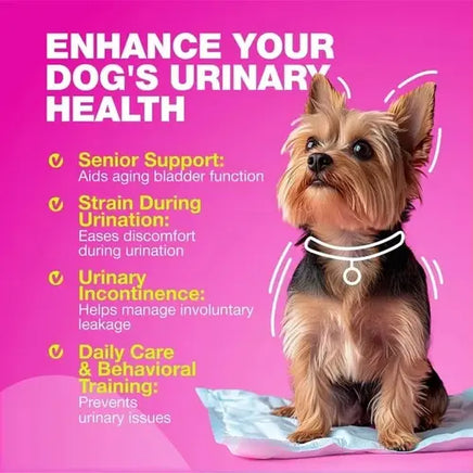 Cranberry Dog Chews for Urinary Health, Incontinence and Bladder Function Support.