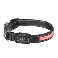 USB Rechargeable LED Dog Collar with Long Battery Life. Buy for Dog