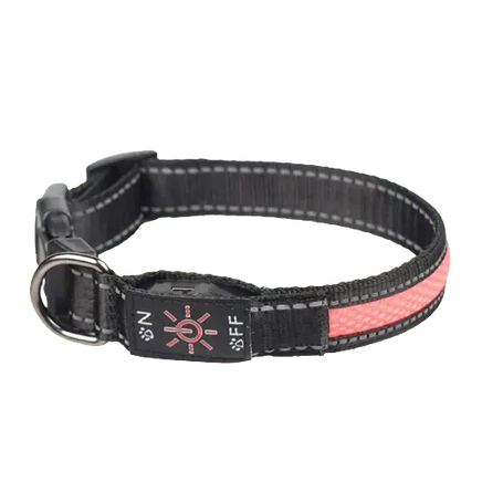 USB Rechargeable LED Dog Collar with Long Battery Life. Buy for Dog