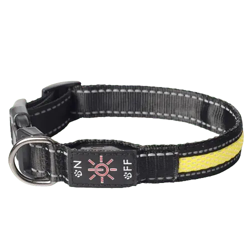 Veterinarian Approved LED Dog Collar for Safety. Buy for Dog