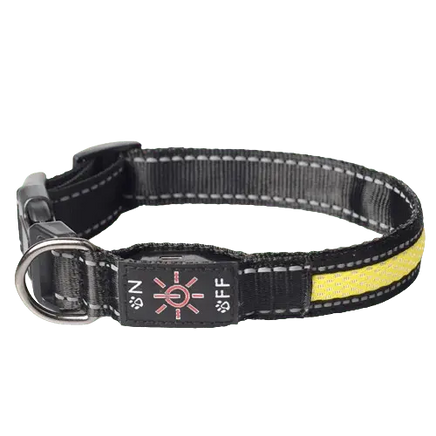 Veterinarian Approved LED Dog Collar for Safety. Buy for Dog