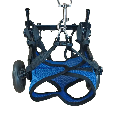 Wheelchair for dogs, a helpful mobility aid for disabled pets.