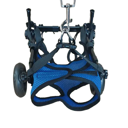 Wheelchair for dogs, a helpful mobility aid for disabled pets.