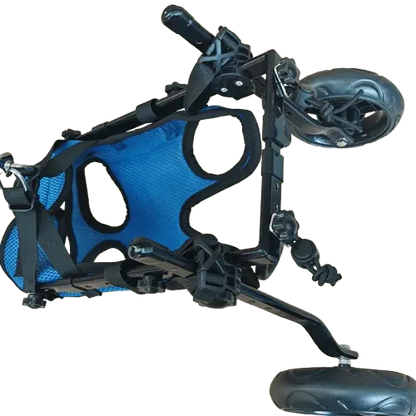 Wheelchairs for dogs back legs used for rehabilitation and recovery.