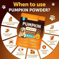 Uses of pumpkin powder for dogs – supports digestion, reduces hairballs, helps during stress and diet changes.