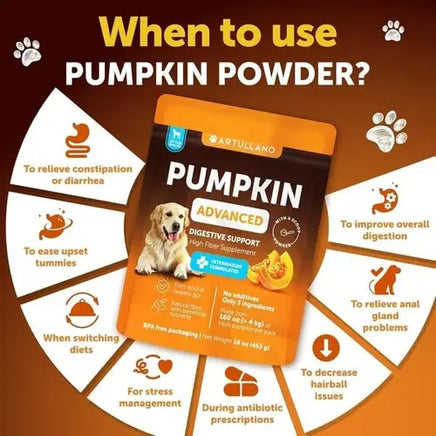 Uses of pumpkin powder for dogs – supports digestion, reduces hairballs, helps during stress and diet changes.