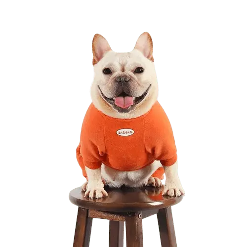 Supreme Sheep padded outfit for dogs providing ultimate winter comfort and warmth. Buy for Dog