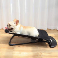 Rocking Bed for Dogs and Cats™ - Buy For Dog