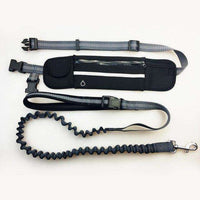 Hands-Free Bungee Dog Leash - BUY FOR DOG

