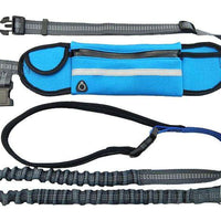 Hands-Free Bungee Dog Leash - BUY FOR DOG