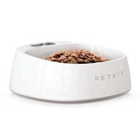 Fresh Smart Digital Antibacterial Bowl - BUY FOR DOG