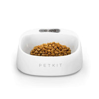 Fresh Smart Digital Antibacterial Bowl - BUY FOR DOG