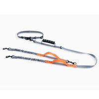 Hands-Free Bungee Double Dog Leash - BUY FOR DOG
