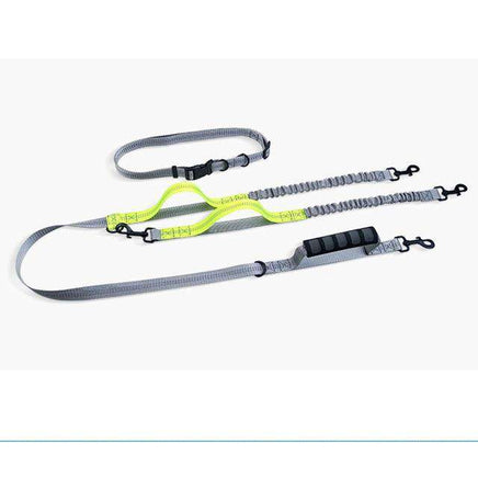 Hands-Free Bungee Double Dog Leash - BUY FOR DOG