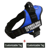 K9 Harnesses For Dogs - BUY FOR DOG