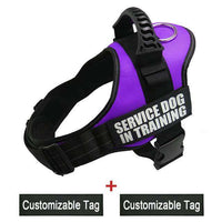 K9 Harnesses For Dogs - BUY FOR DOG