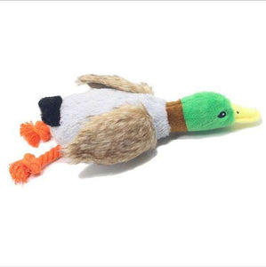 Plush Chewing Toys For Dogs - BUY FOR DOG
