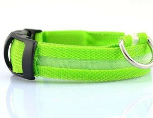 LED Dog Safety Collar - BUY FOR DOG