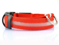 LED Dog Safety Collar - BUY FOR DOG
